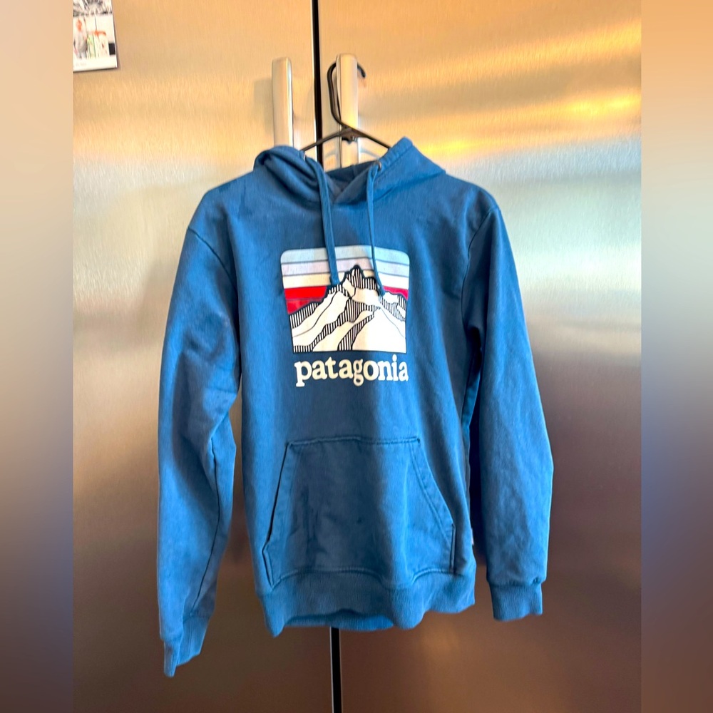 Patagonia hoodie size small